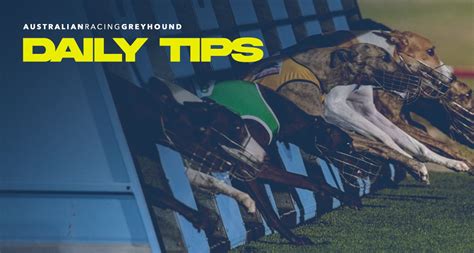 greyhound racing odds|Greyhound Odds .